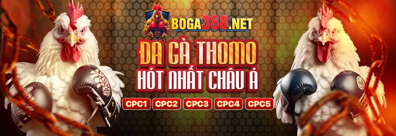 Thưởng chào mừng thành viên mới 78win8 nhà cái